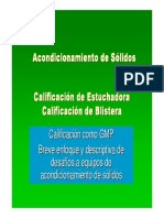 Calificacion Estuchadora Blistera FINAL PDF