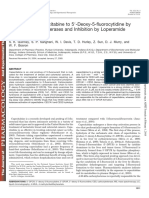 Hidrolisis of Capecitabine