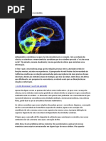 A consciência não está no cérebro.docx