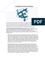 Estructura Secundaria de Las Proteínas