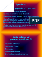 Present Ac i on Apoptosis