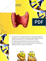 Tarea 5