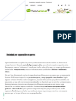 Ansiedad Por Separación en Perros - Tiendanimal