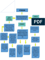 Diferentes Conceptos de Victi