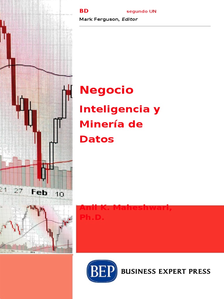 Business Intelligence and Data Mining | PDF | Procesamiento de datos ...