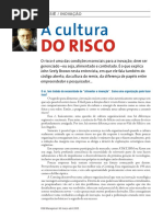 A Cultura Do Risco