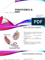 Dna Mitokondria & Apoplas