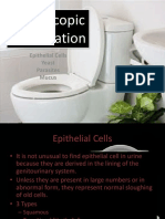 03. Microscopic Exam 02 - EC, Yeast, Parasite, Mucus