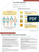 Pat Atlas e Muscle Pain PDF