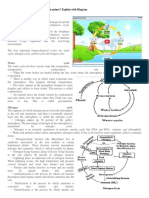 Biogeochemical Cycles: Q-1 Describe Biogeochemical Cycle in Nature? Explain With Diagram