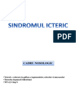 Curs 16 Sdr Icteric_aml_2017