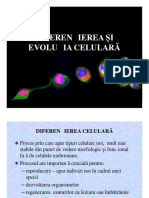 Diferentiere Celulara