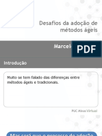 Desafios Da Adocao de Metodos Ageis