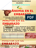 Anemia en El Embarazo