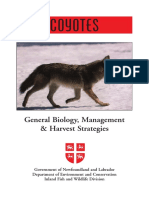 Coyotes: General Biology, Management & Harvest Strategies