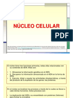 16-nucleo.pdf