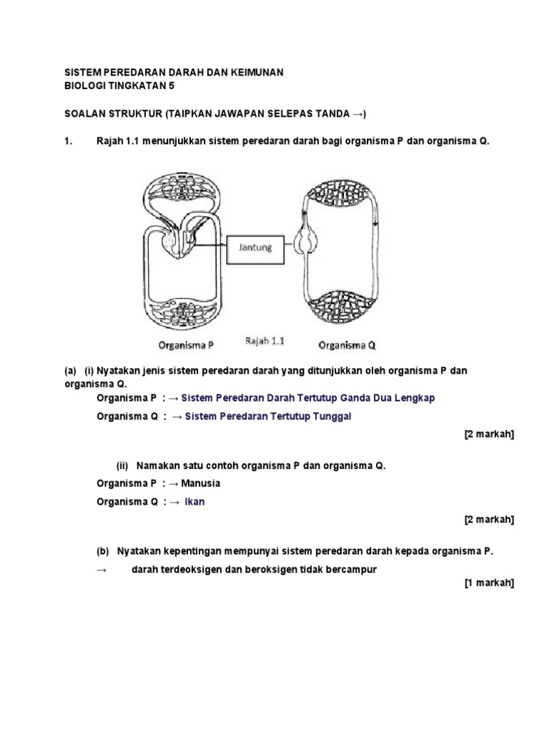 Asyiqin Hidzir Sistem Peredaran Darah Dan Keimunan Pdf