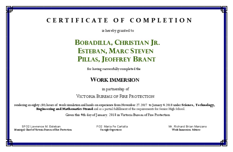 Work Immersion Completion Certificate | PDF | Science | Engineering
