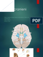 Nervii Cranieni