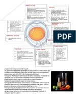 Cuáles Son Los Componentes Del Vinagre y Del Huevo