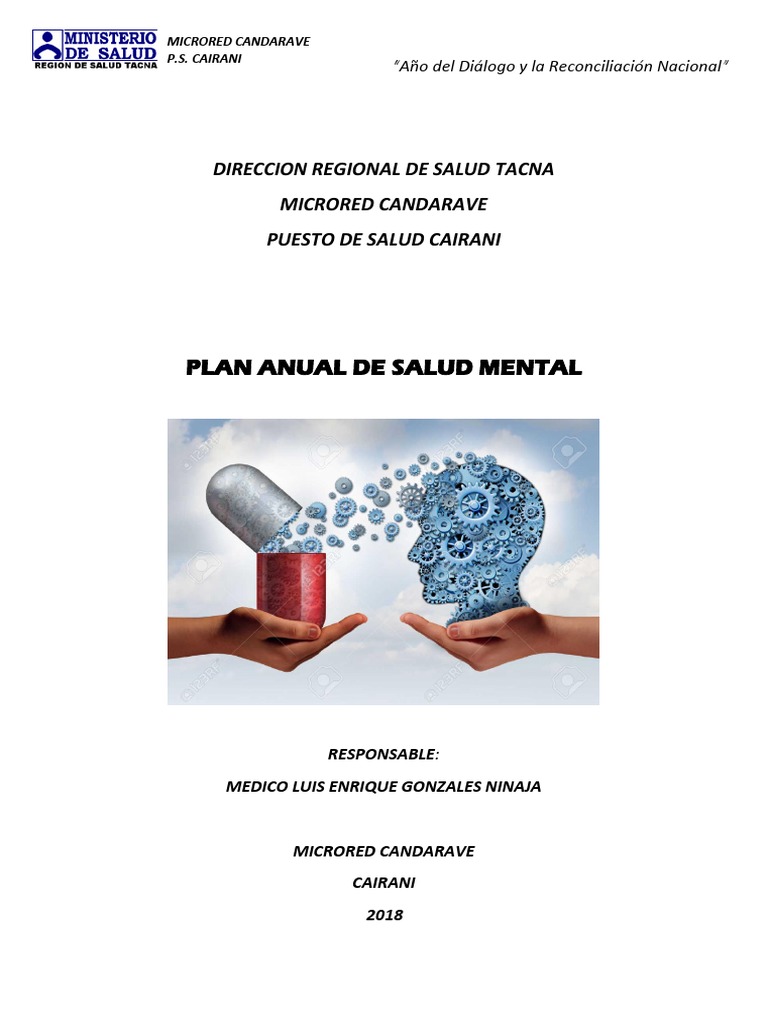 Plan Anual de Salud Mental 2018 | PDF | Salud mental | Adultos