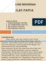 19728_19366_GEOLOGI INDONESIA PAPUA (jalu).pptx