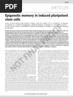 Download Epigenetic memory in induced pluripotent stem cells   by Nora Ycel SN37073488 doc pdf