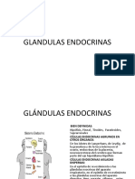 GLÁNDULAS ENDOCRINAS (3)