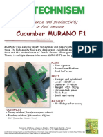 Cucumber Murano F1