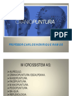 CRANIOPUNTURA-CARLOS.pdf