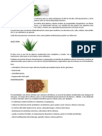 Plantas Medicinales