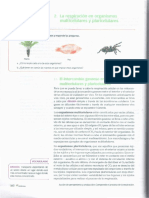 Respiracion Unidad 2-1 7 PDF