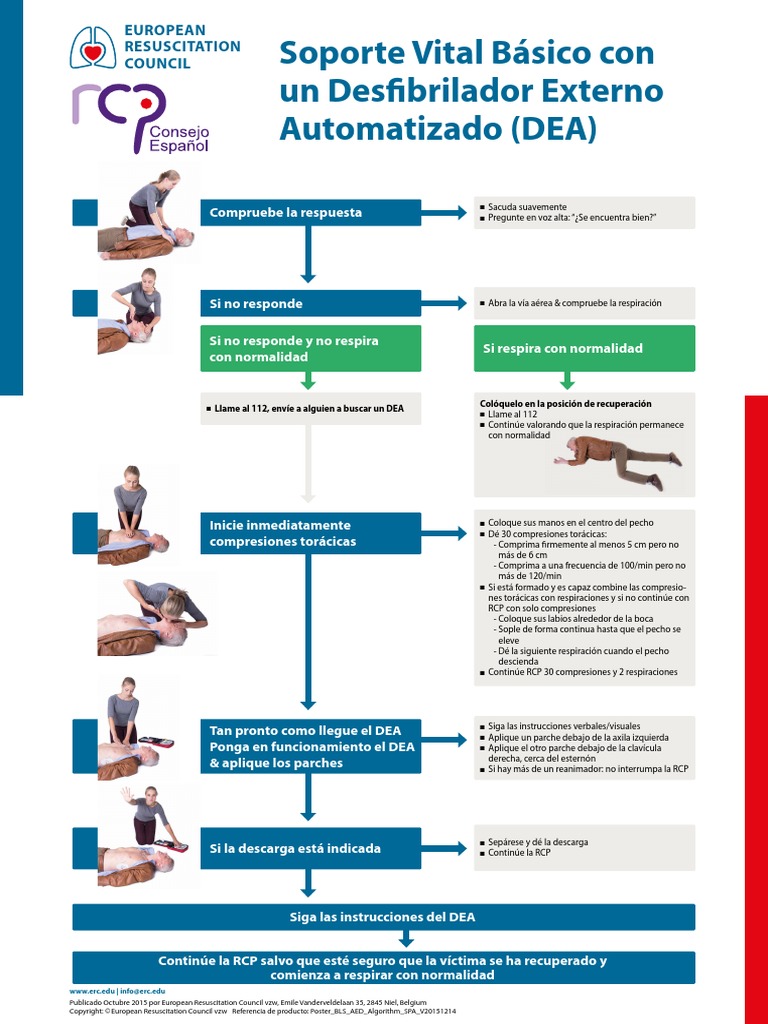 Poster - Algoritmo - SVB - DEA - Espanol - 2015 Guia Europea PDF | PDF ...