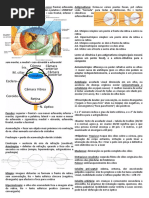 Resumo Oftalmo Módulo 19