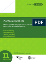 Plantas de Probeta-EDULP