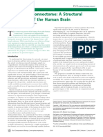 connectome3.pdf