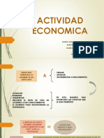 Actividad Economica