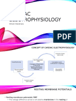 Electro Physiology