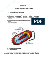 Bacterii Mucegaiuri