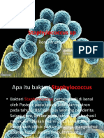Staphylococcus SP Materi Kesling TK 2 Pert Ke 14