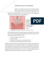 Patogenesis, Morfologi Dan Cara Penyebaran Kanker Serviks