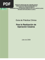 Download Guia Prctica Clnica Operacin Cesrea by Tom Glez Esp SN37077745 doc pdf