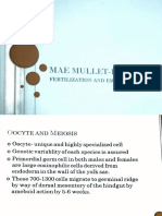 Fertilization Embryogenesis Doc Panaligan