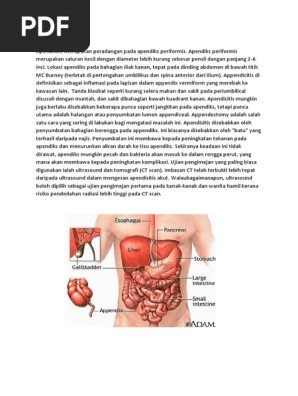 Appendix Pdf