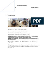 To Be Present On Dumaran, Coron and Adjacent Small Islands. Degraded Secondary