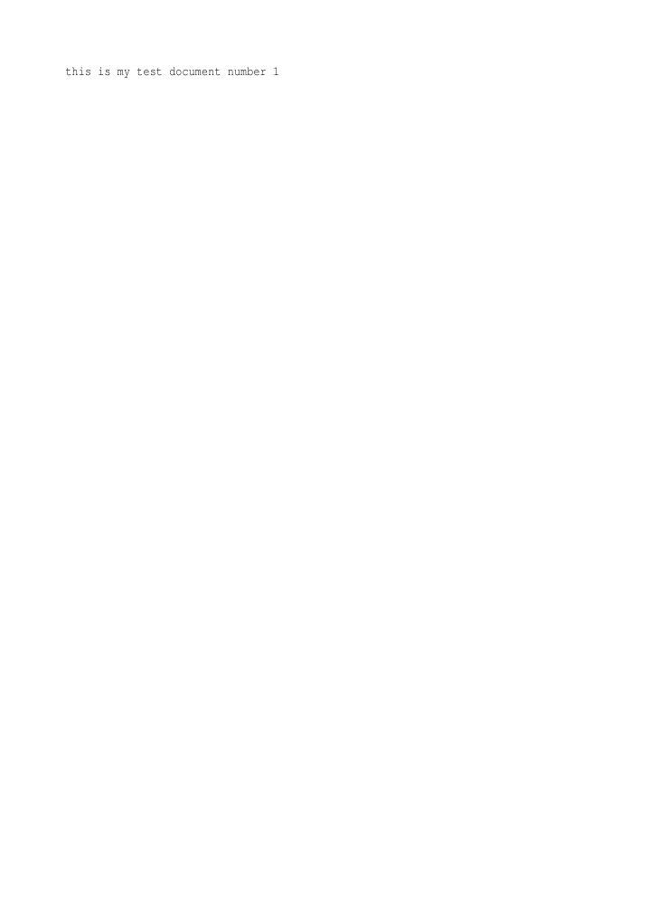 Test Document NR 1 | PDF