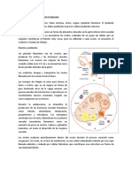 2.5 Sistema Reproductor Femenino