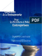 La Gestion de La Trésorerie