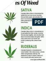 3 Types Cannabis2 301x320