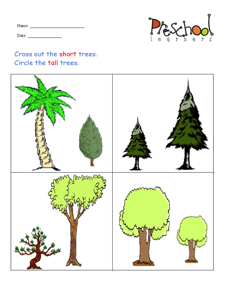 Af000002 PDF | PDF